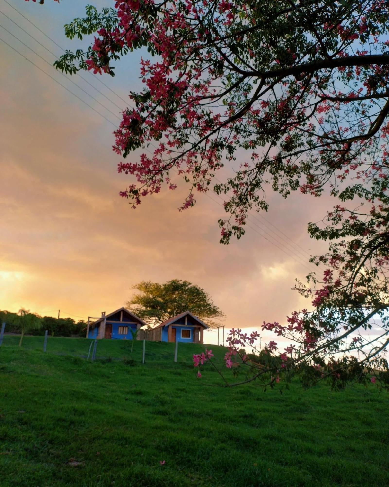 Chales Encantos De Minas Bueno Brandão المظهر الخارجي الصورة
